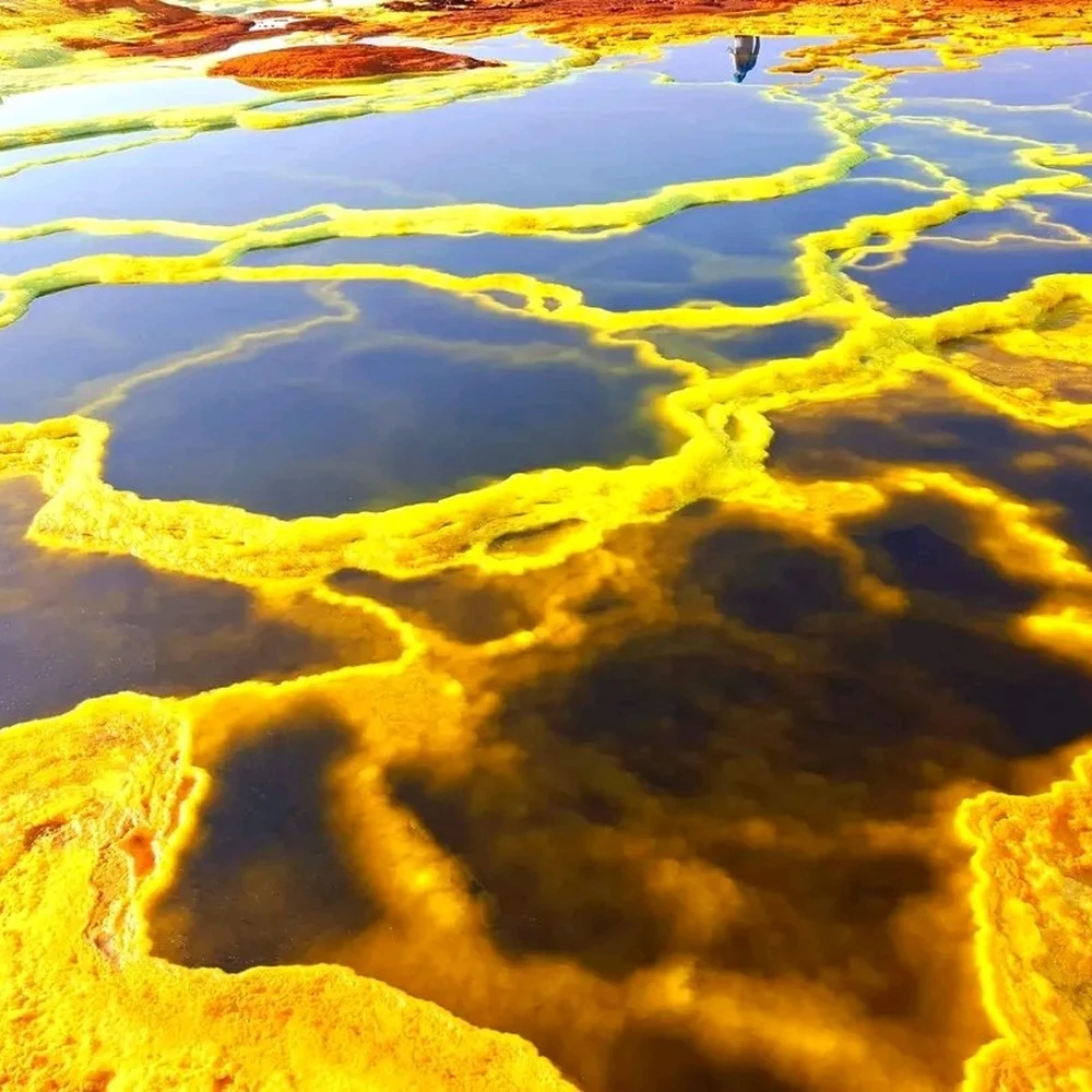 Danakil Depression & Dallol Expedition