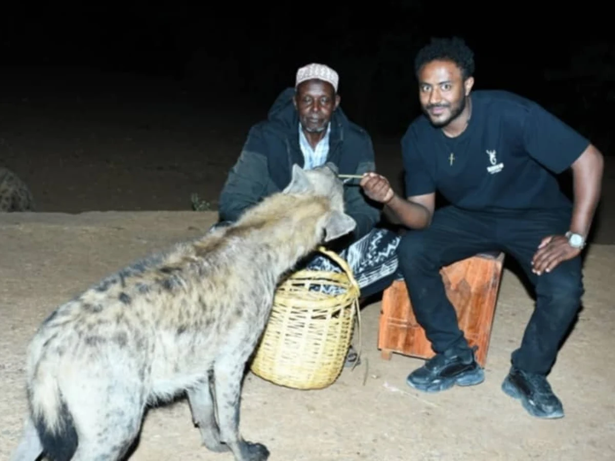 Harar Jugol: The Walled Citadel & Living Heritage